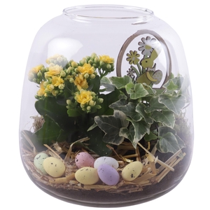 Easter Arr. Indoor Glass Vase Terrarium Round Ø19cm 2PP