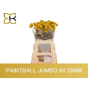 Cras Paintball Jumbo