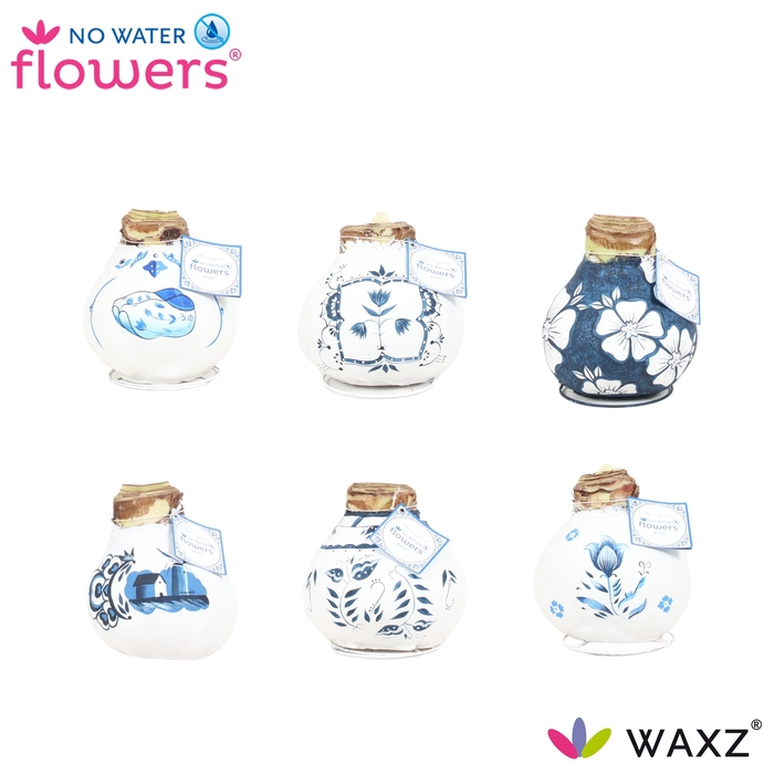 arr4 Amaryllis VH - Delfts Blauw Mix XXL