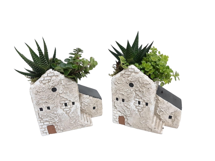 <h4>Arr.   Kamerplant Groen L%</h4>