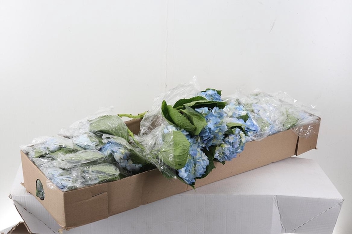 <h4>Hydr Blue Select 80cm Box</h4>