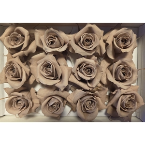 Ro Pres.. Latte (4cm)
