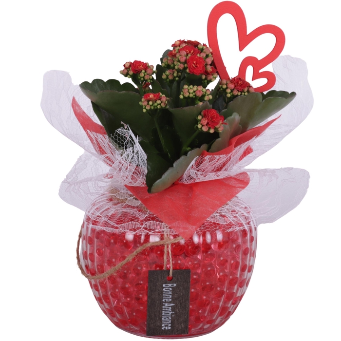 <h4>Valentine Arr. Indoor Glass Round Relief Ø15cm 1PP</h4>