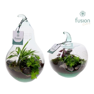 Glas Peer en Appel glas met arrangement groene planten