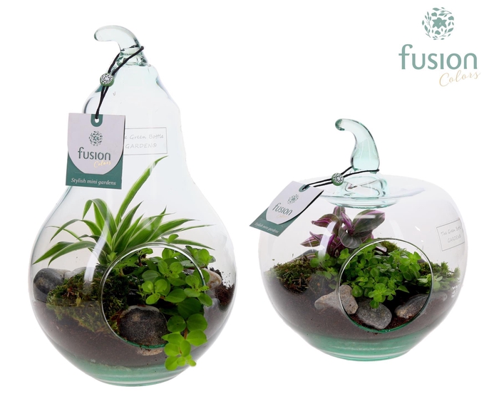 <h4>Glas Peer en Appel glas met arrangement groene planten</h4>