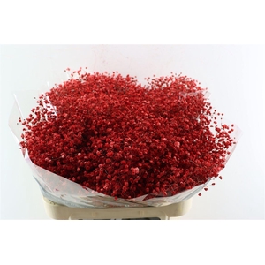 Gyps Grof Wijn Rood (dip)