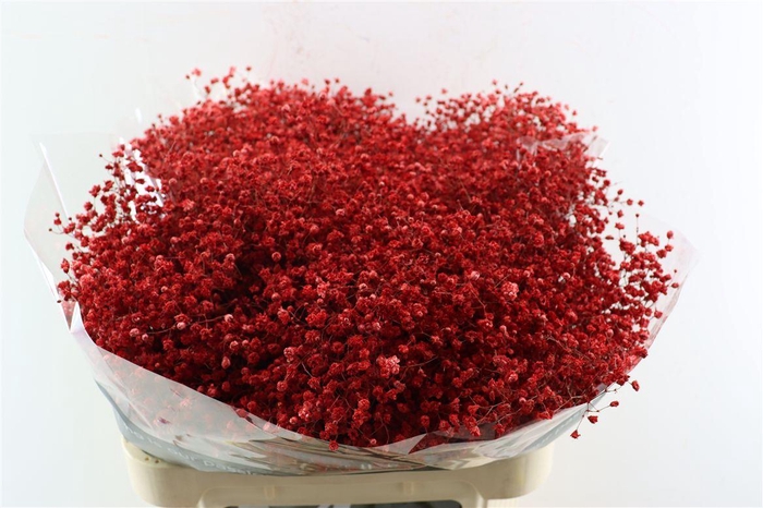 <h4>Gyps Grof Wijn Rood (dip)</h4>