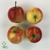 APPEL GROEN (LAK)