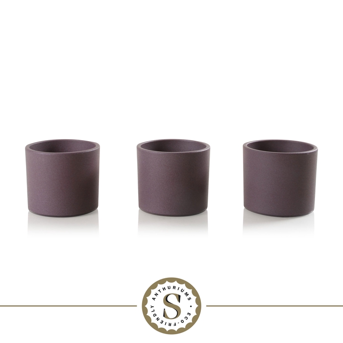 <h4>Creations) Keramiek Bari Purple</h4>
