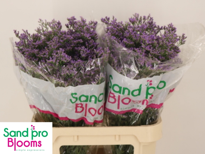 <h4>LIM OV SKYLIGHT</h4>