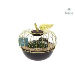 Metaal appel goudzwart Small met Cactus