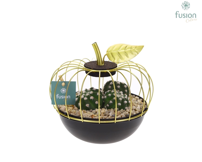 <h4>Metaal appel goudzwart Small met Cactus</h4>