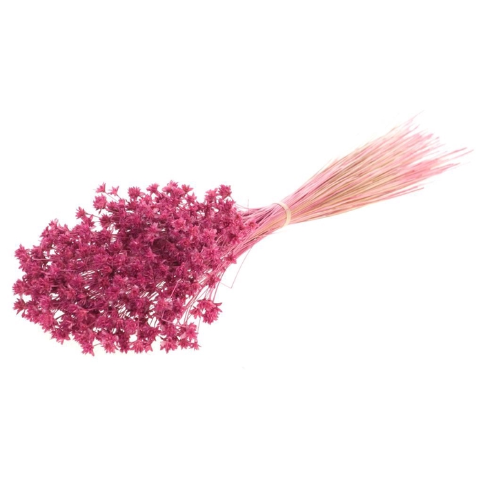 Hill flower 100gr pink