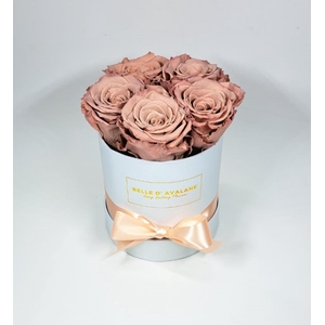 Box rd 12cm wit-caramel (cho89)