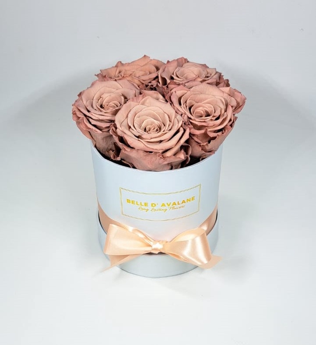 Box rd 12cm wit-caramel (cho89)