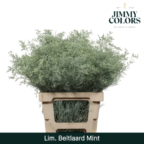 <h4>Lim Bel L70 Mint</h4>