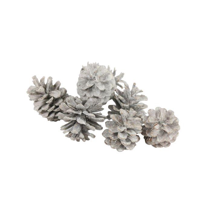 <h4>Pinecone Oostenrijker 10kg</h4>