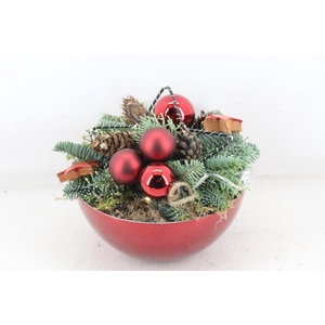 arr5 Kerst MB - Coupe red x5 ster LED