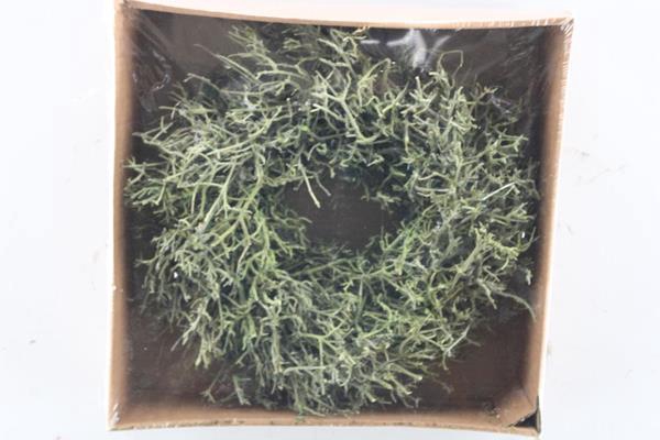 <h4>Droog Krans Dry Tree Green</h4>