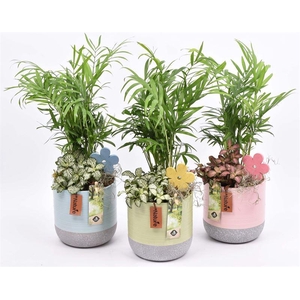 Keramiek pot met label 3 kl. 13cm