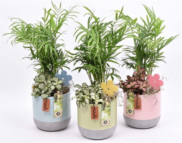 <h4>Keramiek pot met label 3 kl. 13cm</h4>
