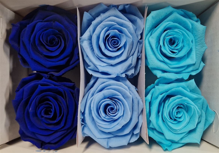 Ro Pres Classic Mix Blue