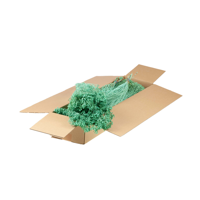 <h4>Broom Bloom Bunch Sb Blue Aqua</h4>