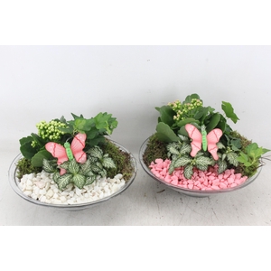arr2 PL - Glas schaal 23cm - roze/wit