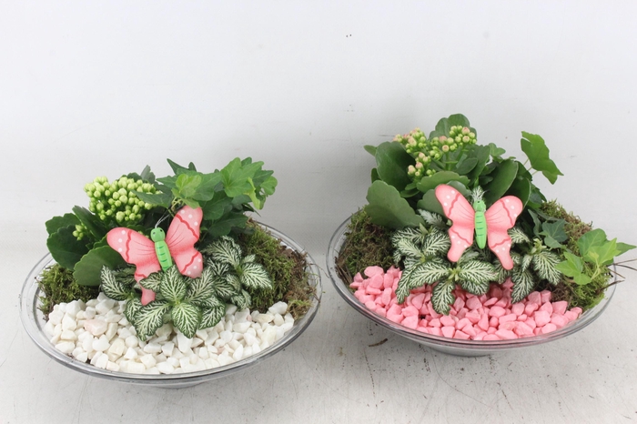 <h4>arr2 PL - Glas schaal 23cm - roze/wit</h4>