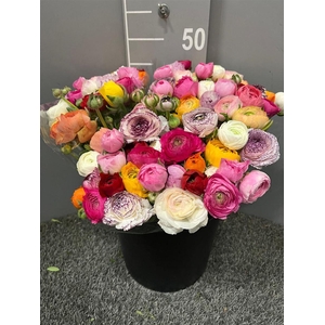 Ran Eleg Mix/bos (extra)