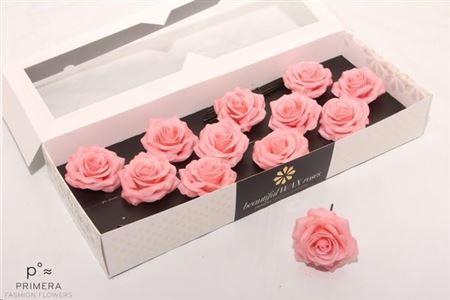 <h4>Roos Wax Zijde 9120 M Apricot (versilia)</h4>
