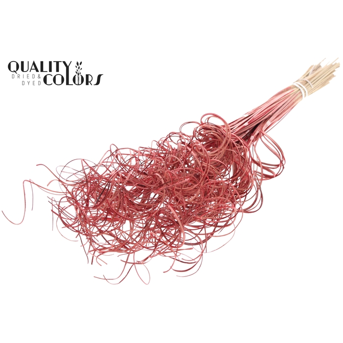 <h4>Palm Curly TT 3pc/tuft - 33 tuft/bunch Red</h4>