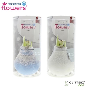 No Water Flowers® Frozen mix in Koker