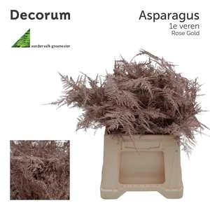 Asp 1e veren Rose gold