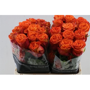 R Gr Careless Whisper