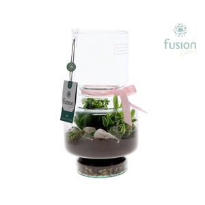 Green Bottle Lotte Medium met Moederdag arrangement