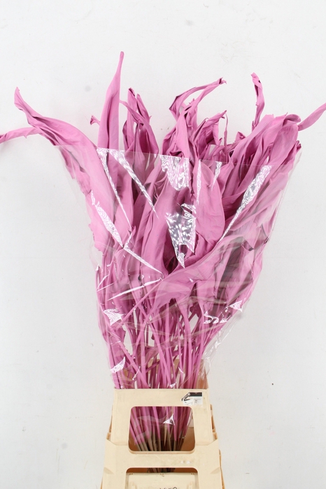 <h4>DROOGBL BEWERKT H%</h4>