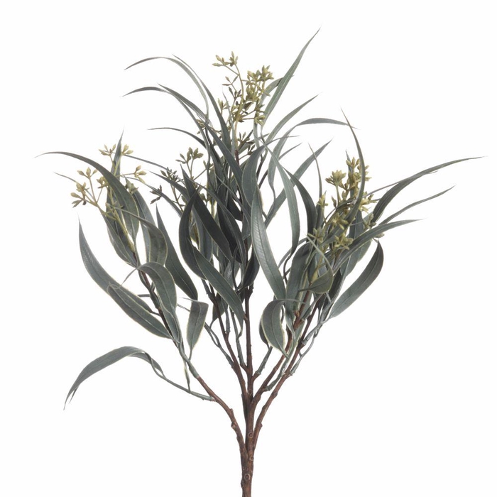 <h4>AF Euca Nicoly Gra x5 43cm Gre</h4>