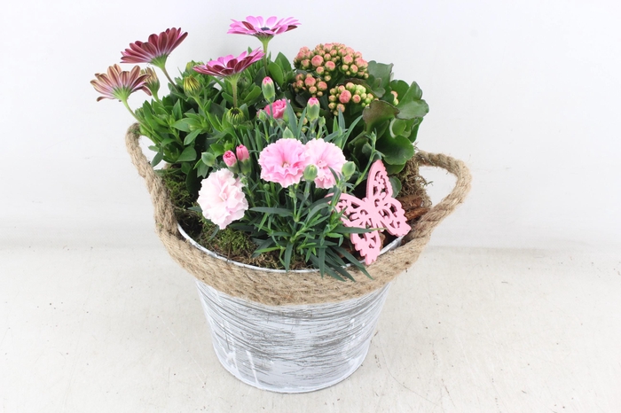 <h4>arr4 Outdoor MB - Zink emmer white wash</h4>