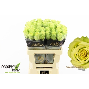 R Gr Green Generation