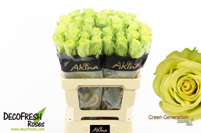 <h4>R Gr Green Generation</h4>