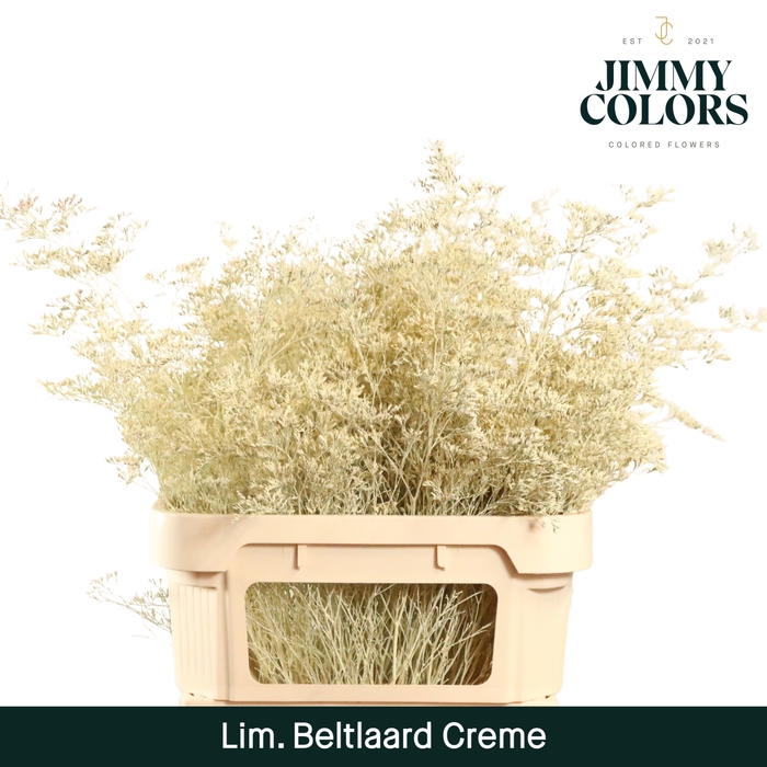 <h4>Lim Bel L90 Creme</h4>
