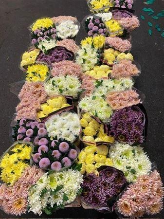 <h4>Chr G Gem In Fust</h4>