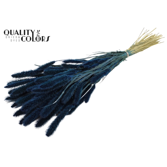 <h4>Setaria per bunch Dark Blue</h4>