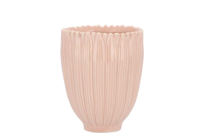 <h4>Bloom Daisy Dreamy Peach Cup 9x9x11cm Nm</h4>