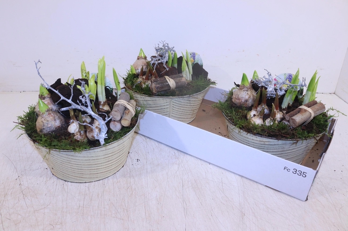 <h4>ARR BOL KNOLGEWAS</h4>