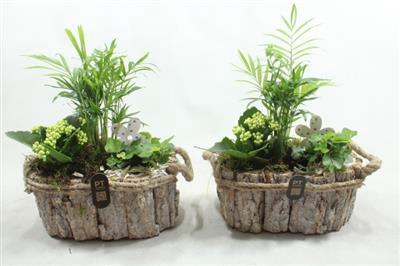 <h4>5258 Ww Schors Wit</h4>