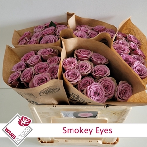 R GR SMOKEY EYES