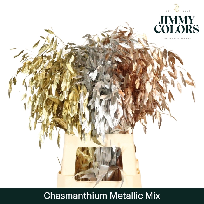 <h4>Chasmanthium L70 Metallic Mix</h4>