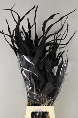 <h4>Df Strelitzia Leaf Black</h4>